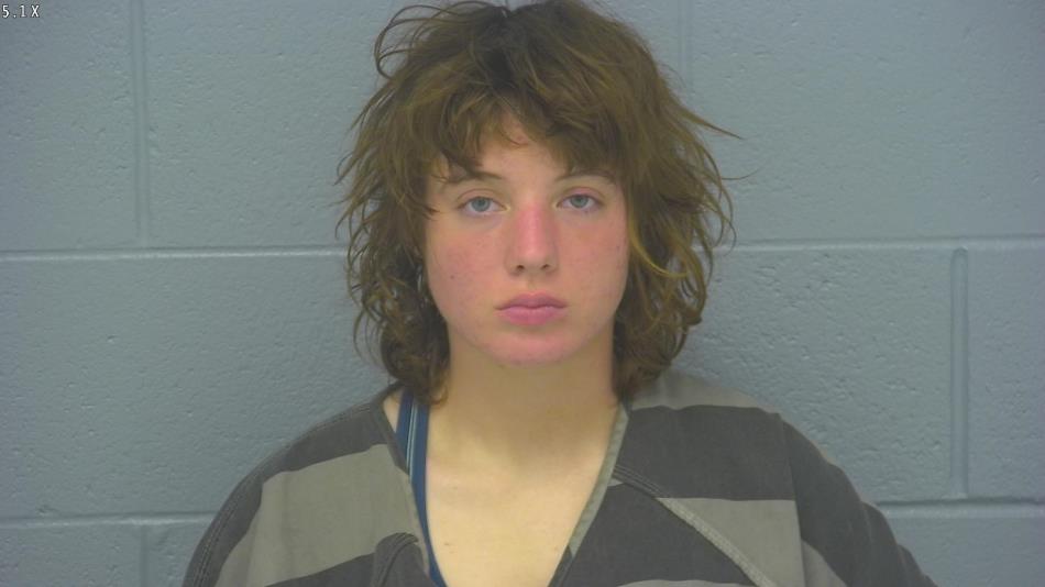 Arrest photo of AUNDREA INMAN 